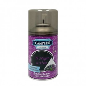 copy of CARGA AMBIENTADOR...