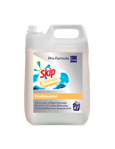 DETERGENTE SKIP MARSELLA 5L