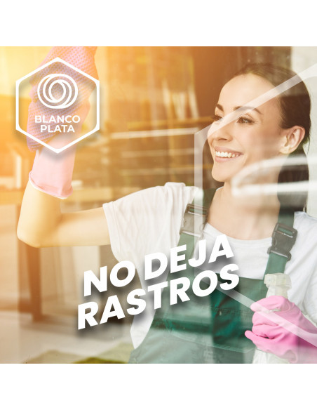 LIMPIACRISTALES MULTIUSOS 2 EN 1 BLANCOPLATA 1L