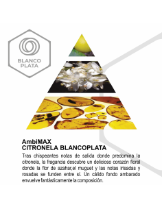 RECAMBIO AMBIMAX FRAGANCIA... 2