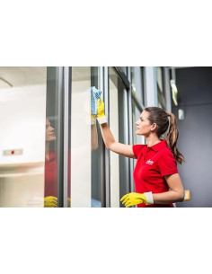 BAYETA MICROFIBRA VILEDA... 2