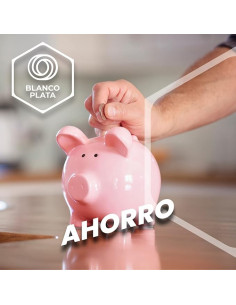 LIMPIADOR MULTISUPERFICIES... 2