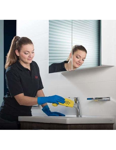 BAYETA VILEDA MICRONQUICK ROJO 5...