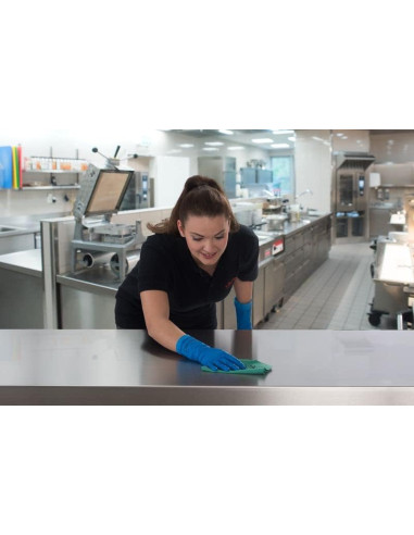 BAYETA VILEDA MICRONQUICK VERDE 5...