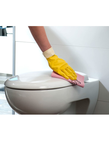 BAYETA MICROFIBRA PVA VILEDA  ROJA 5...