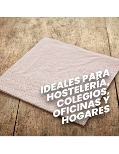 SERVILLETA 20x20 2/C... 2